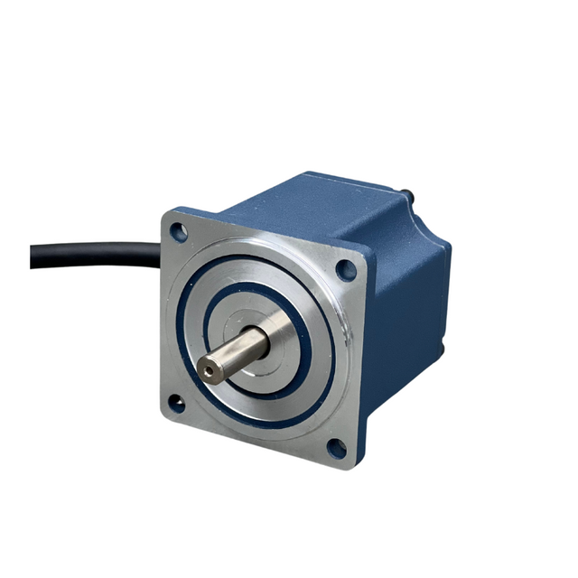 High Efficiency Brushless DC Electric Motor Nema32 24v/36v/48v/310v 60W 120W BLDC Motor 