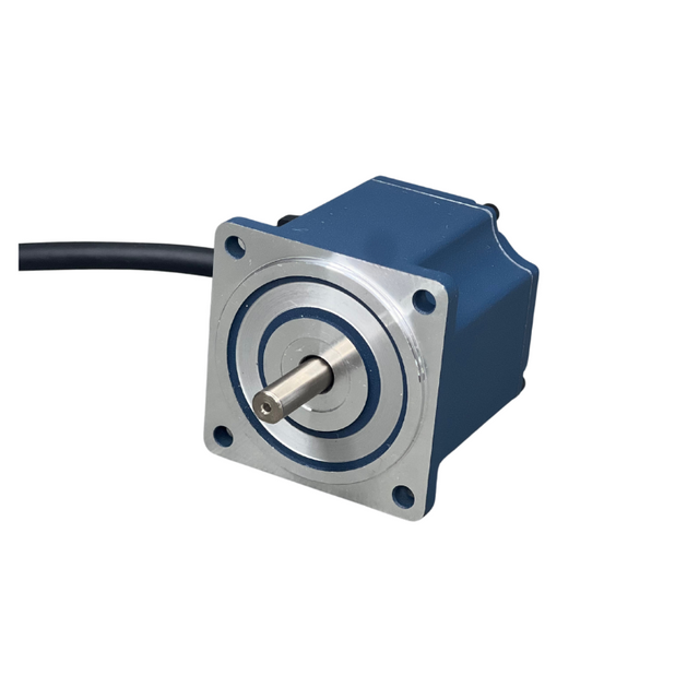 High Efficiency Brushless DC Electric Motor Nema36 24v/36v/48v/310v 120W 200W BLDC Motor 
