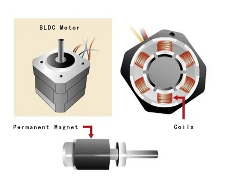 Penampilan dan Struktur Internal Bldc Motor.png