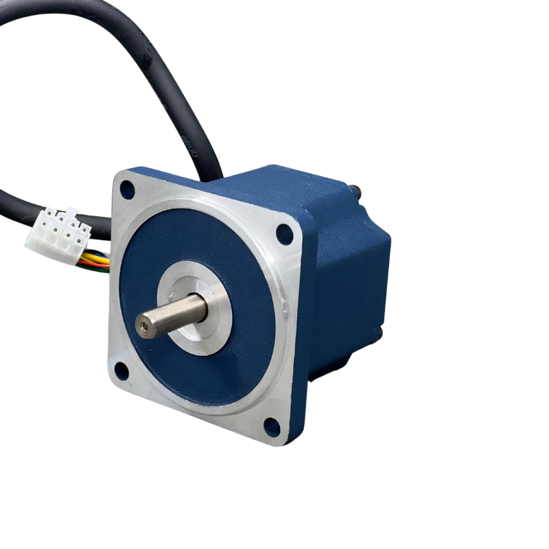 High Efficiency Brushless DC Electric Motor Nema28 24v/36v/48v/310v 30W 60W BLDC Motor 