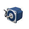 High Efficiency Brushless DC Electric Motor Nema28 24v/36v/48v/310v 30W 60W BLDC Motor 