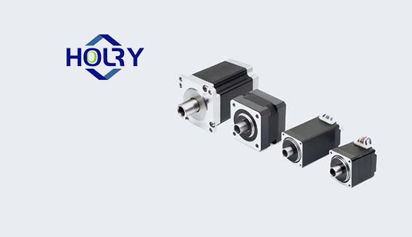 Special Stepper Motor - Holry