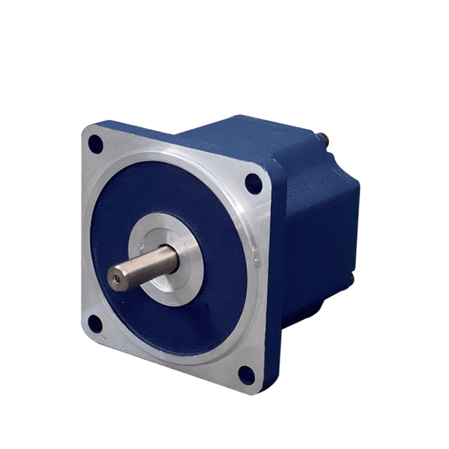 High Efficiency Brushless DC Electric Motor Nema28 24v/36v/48v/310v 30W 60W BLDC Motor 