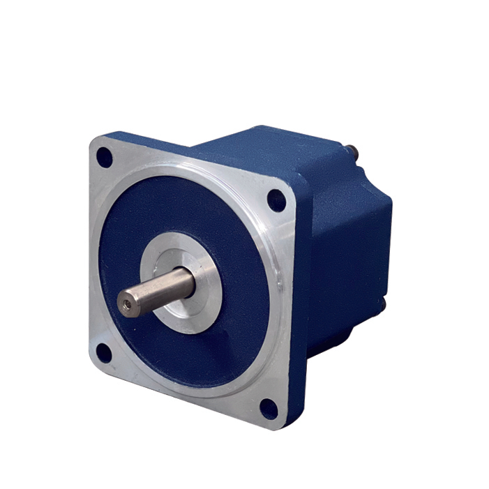 High Efficiency Brushless DC Electric Motor Nema28 24v/36v/48v/310v 30W 60W BLDC Motor 