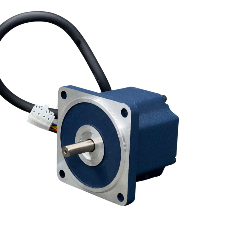High Efficiency Brushless DC Electric Motor Nema28 24v/36v/48v/310v 30W 60W BLDC Motor 