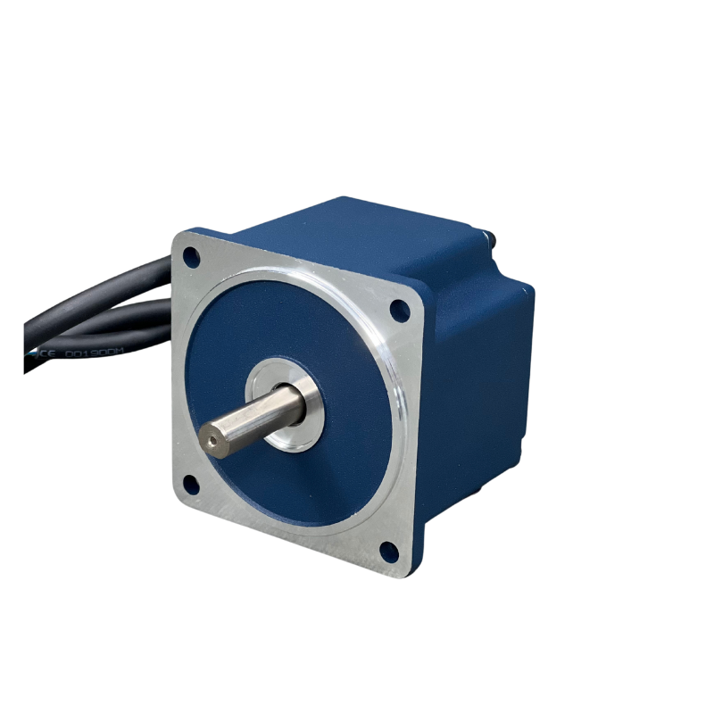 High Efficiency Brushless DC Electric Motor Nema28 24v/36v/48v/310v 30W 60W BLDC Motor 