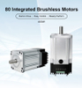 80 Integrated Brushless Motors - HOLRY